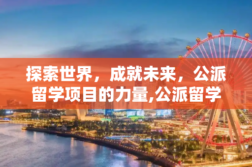 探索世界，成就未来，公派留学项目的力量,公派留学项目