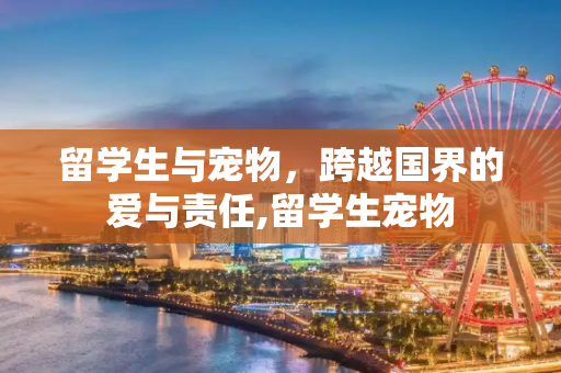 留学生与宠物，跨越国界的爱与责任,留学生宠物