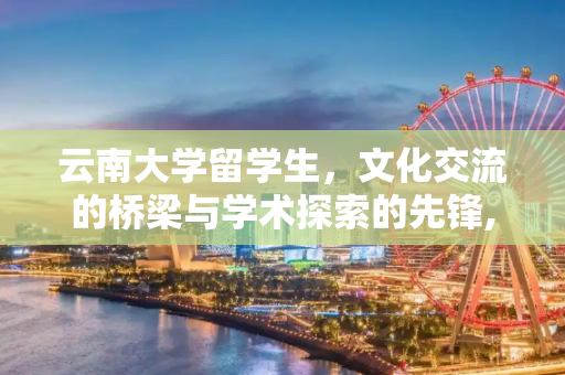 云南大学留学生，文化交流的桥梁与学术探索的先锋,云南大学留学生