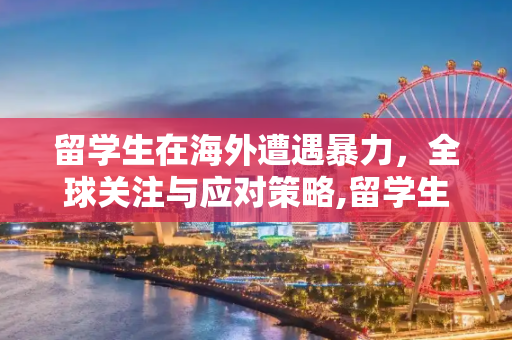 留学生在海外遭遇暴力，全球关注与应对策略,留学生被打