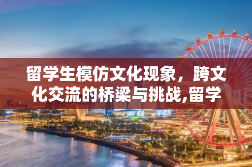 留学生模仿文化现象，跨文化交流的桥梁与挑战,留学生模仿