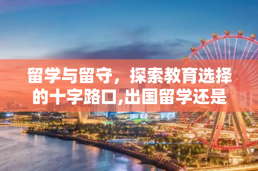 留学与留守，探索教育选择的十字路口,出国留学还是在国内