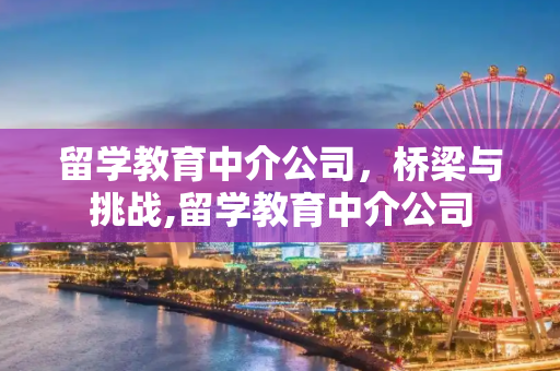 留学教育中介公司，桥梁与挑战,留学教育中介公司