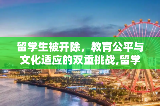 留学生被开除，教育公平与文化适应的双重挑战,留学生被开除