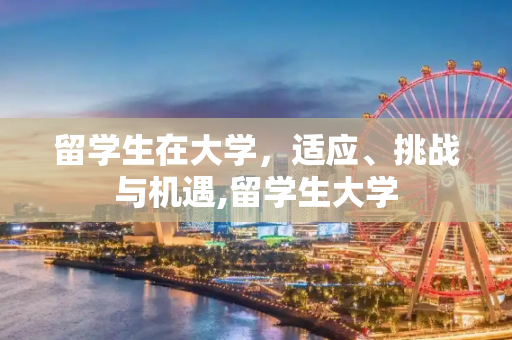 留学生在大学，适应、挑战与机遇,留学生大学