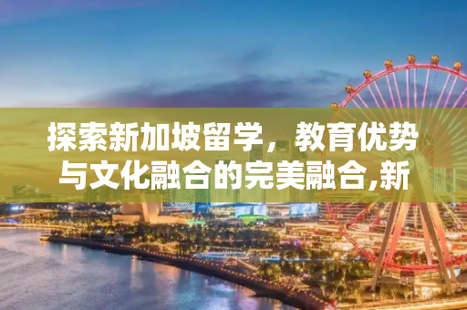 探索新加坡留学，教育优势与文化融合的完美融合,新加坡留学有哪些优势