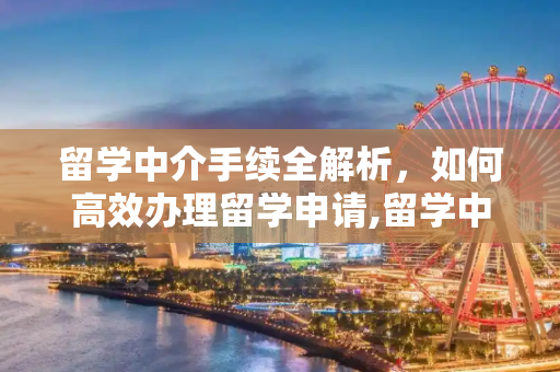 留学中介手续全解析，如何高效办理留学申请,留学中介手续
