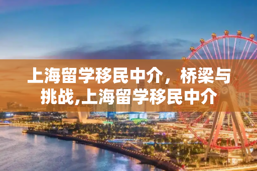 上海留学移民中介，桥梁与挑战,上海留学移民中介