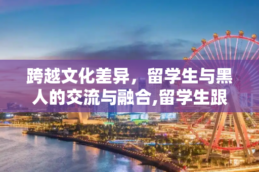 跨越文化差异，留学生与黑人的交流与融合,留学生跟黑人