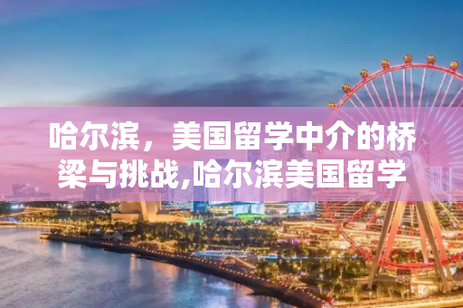 哈尔滨，美国留学中介的桥梁与挑战,哈尔滨美国留学中介