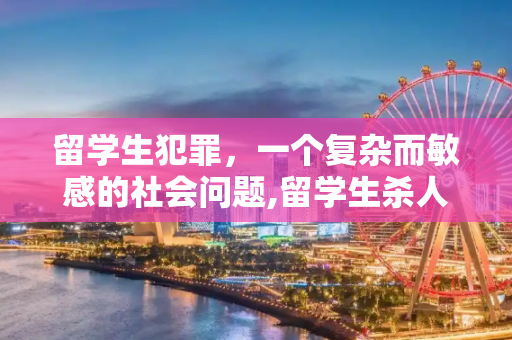 留学生犯罪，一个复杂而敏感的社会问题,留学生杀人