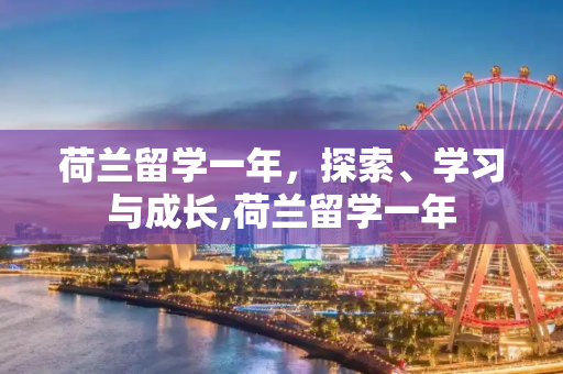 荷兰留学一年，探索、学习与成长,荷兰留学一年