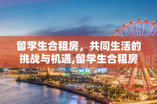 留学生合租房，共同生活的挑战与机遇,留学生合租房