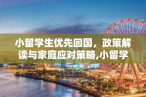 小留学生优先回国，政策解读与家庭应对策略,小留学生优先回国