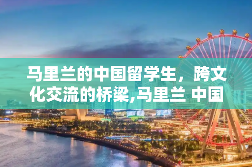 马里兰的中国留学生，跨文化交流的桥梁,马里兰 中国留学生