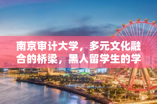 南京审计大学，多元文化融合的桥梁，黑人留学生的学术家园,南京审计大学黑人留学生
