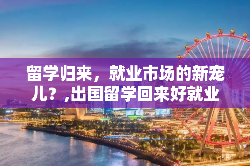留学归来，就业市场的新宠儿？,出国留学回来好就业吗