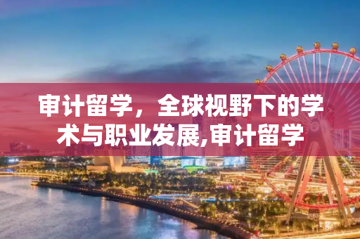 审计留学，全球视野下的学术与职业发展,审计留学