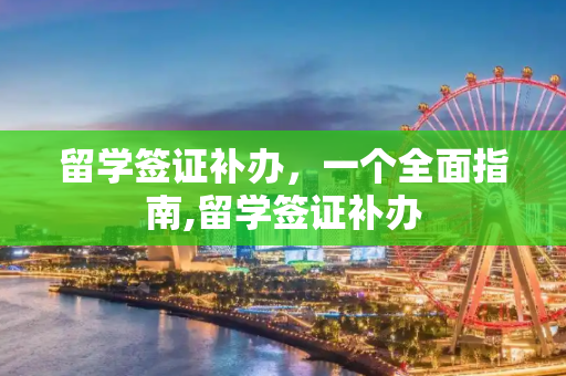 留学签证补办，一个全面指南,留学签证补办