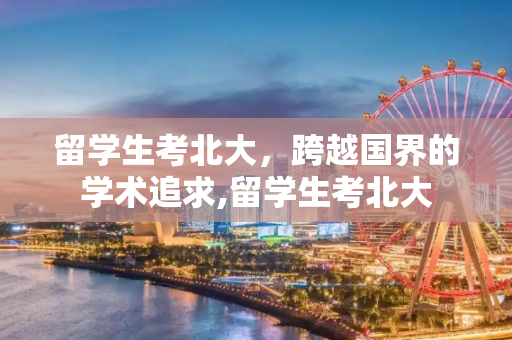 留学生考北大，跨越国界的学术追求,留学生考北大