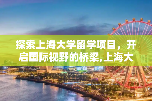 探索上海大学留学项目，开启国际视野的桥梁,上海大学留学项目