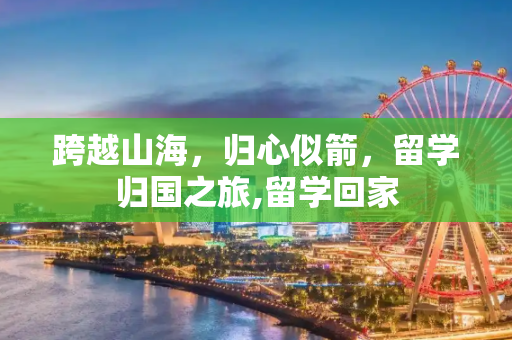 跨越山海，归心似箭，留学归国之旅,留学回家