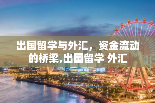 出国留学与外汇，资金流动的桥梁,出国留学 外汇