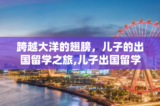 跨越大洋的翅膀，儿子的出国留学之旅,儿子出国留学