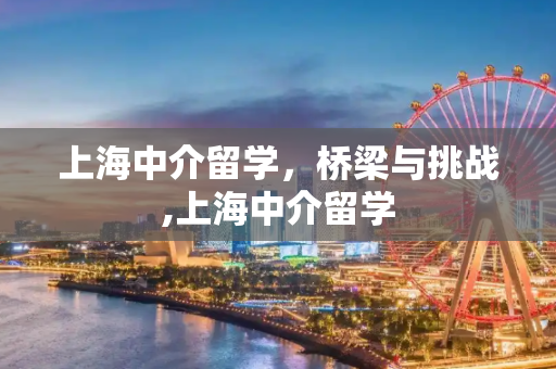 上海中介留学，桥梁与挑战,上海中介留学