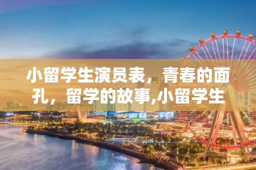 小留学生演员表，青春的面孔，留学的故事,小留学生演员表