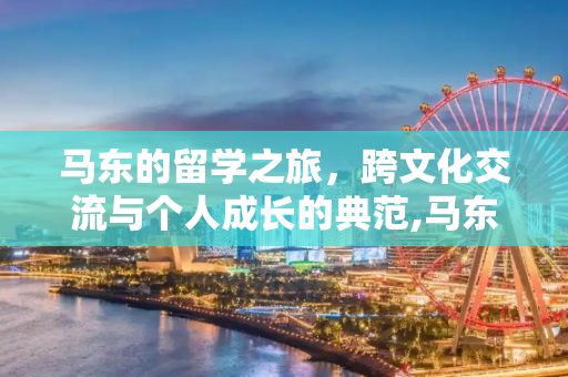 马东的留学之旅，跨文化交流与个人成长的典范,马东留学