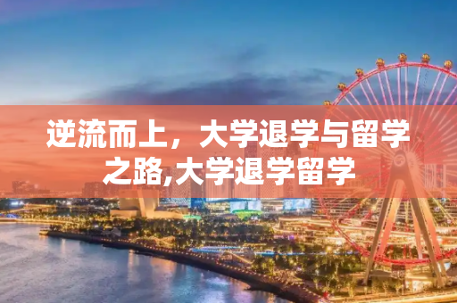 逆流而上，大学退学与留学之路,大学退学留学