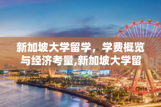 新加坡大学留学，学费概览与经济考量,新加坡大学留学学费