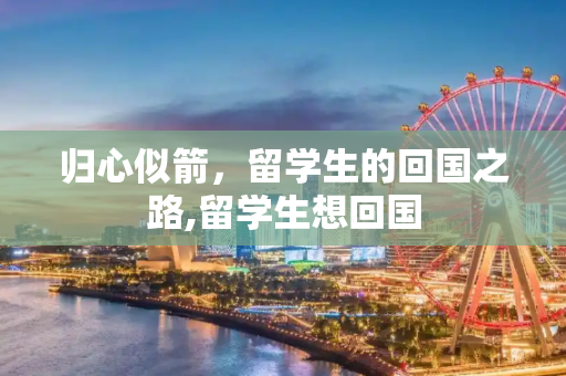 归心似箭，留学生的回国之路,留学生想回国