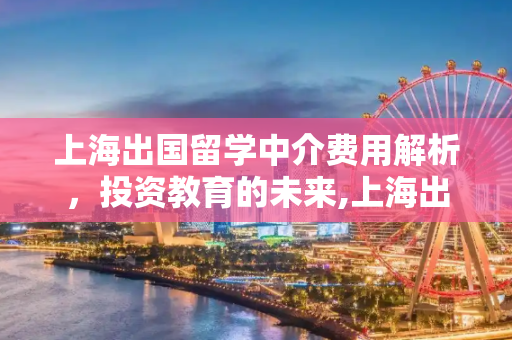 上海出国留学中介费用解析，投资教育的未来,上海出国留学中介费用