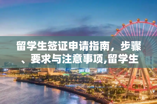 留学生签证申请指南，步骤、要求与注意事项,留学生怎么办签证