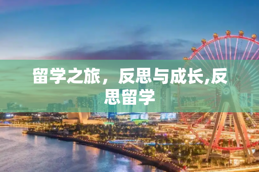 留学之旅，反思与成长,反思留学