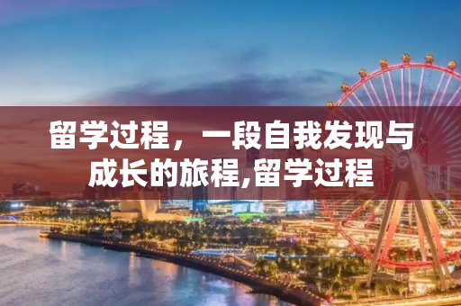 留学过程，一段自我发现与成长的旅程,留学过程