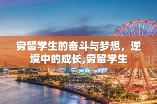 穷留学生的奋斗与梦想，逆境中的成长,穷留学生
