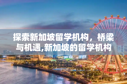 探索新加坡留学机构，桥梁与机遇,新加坡的留学机构