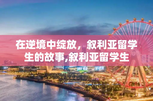 在逆境中绽放，叙利亚留学生的故事,叙利亚留学生