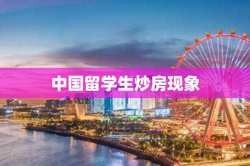 中国留学生炒房现象